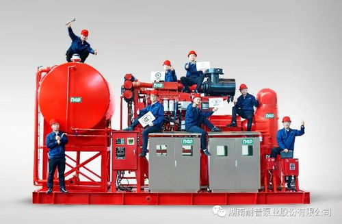 耐普泵業(yè)產(chǎn)品助力中國海洋裝備建設(shè)——中海油陸豐油田群區(qū)域開發(fā)項目柴油機消防泵組順利交付